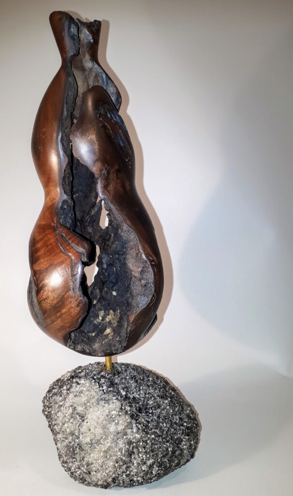 Driftwood sculpture - "Neptune's Vase"