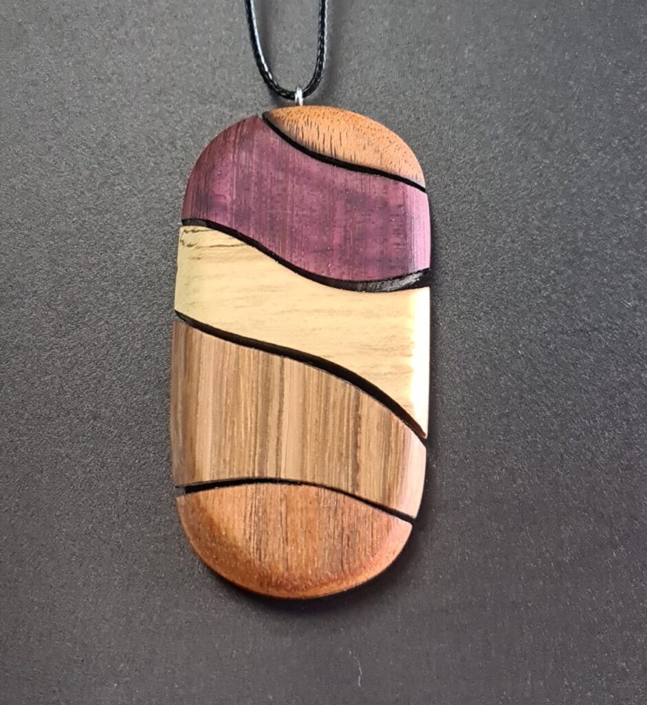 Large Oval Segmented Pin rare wood necklace back