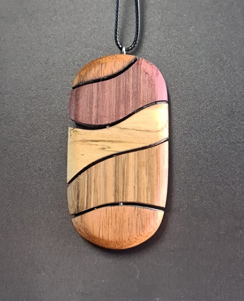 Large Oval Segmented Pin rare wood necklace