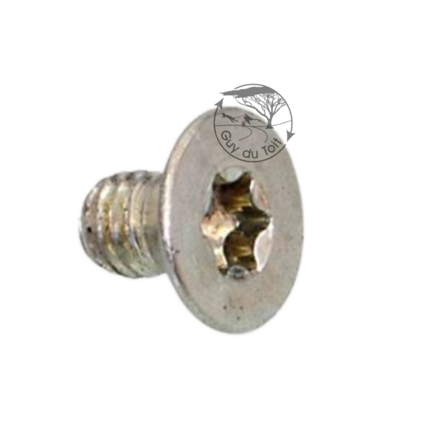 Munro M4 T15 screw