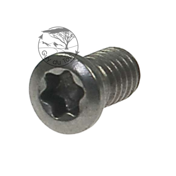 Munro M4 T15 torx Mega2 screw