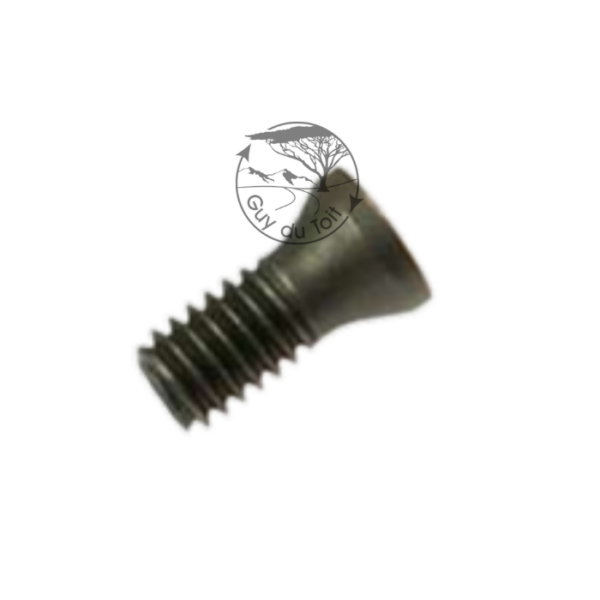 Munro Minimun6 Torx screw