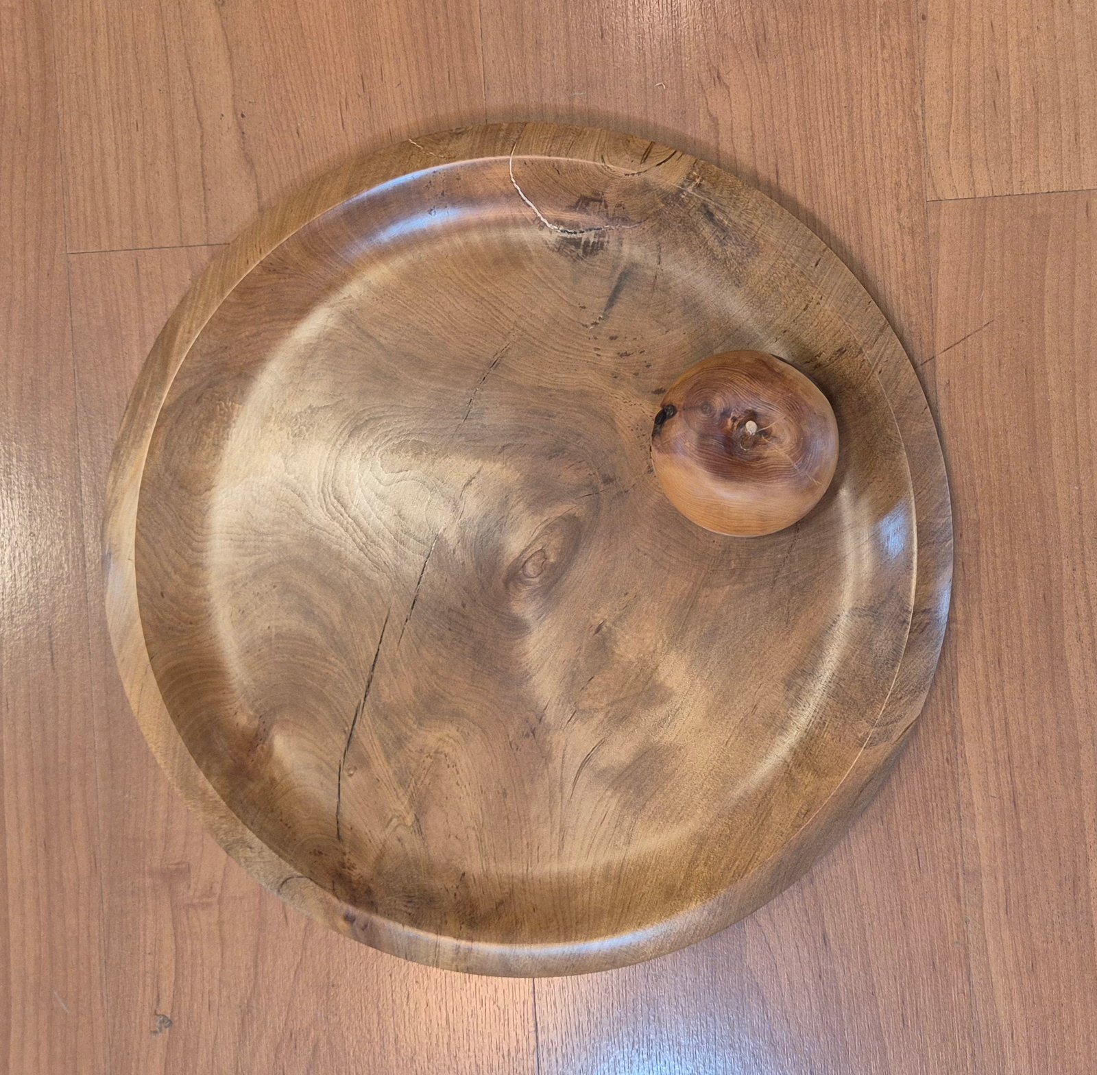 Apple for scale showing the size of the swamp kauri platter
