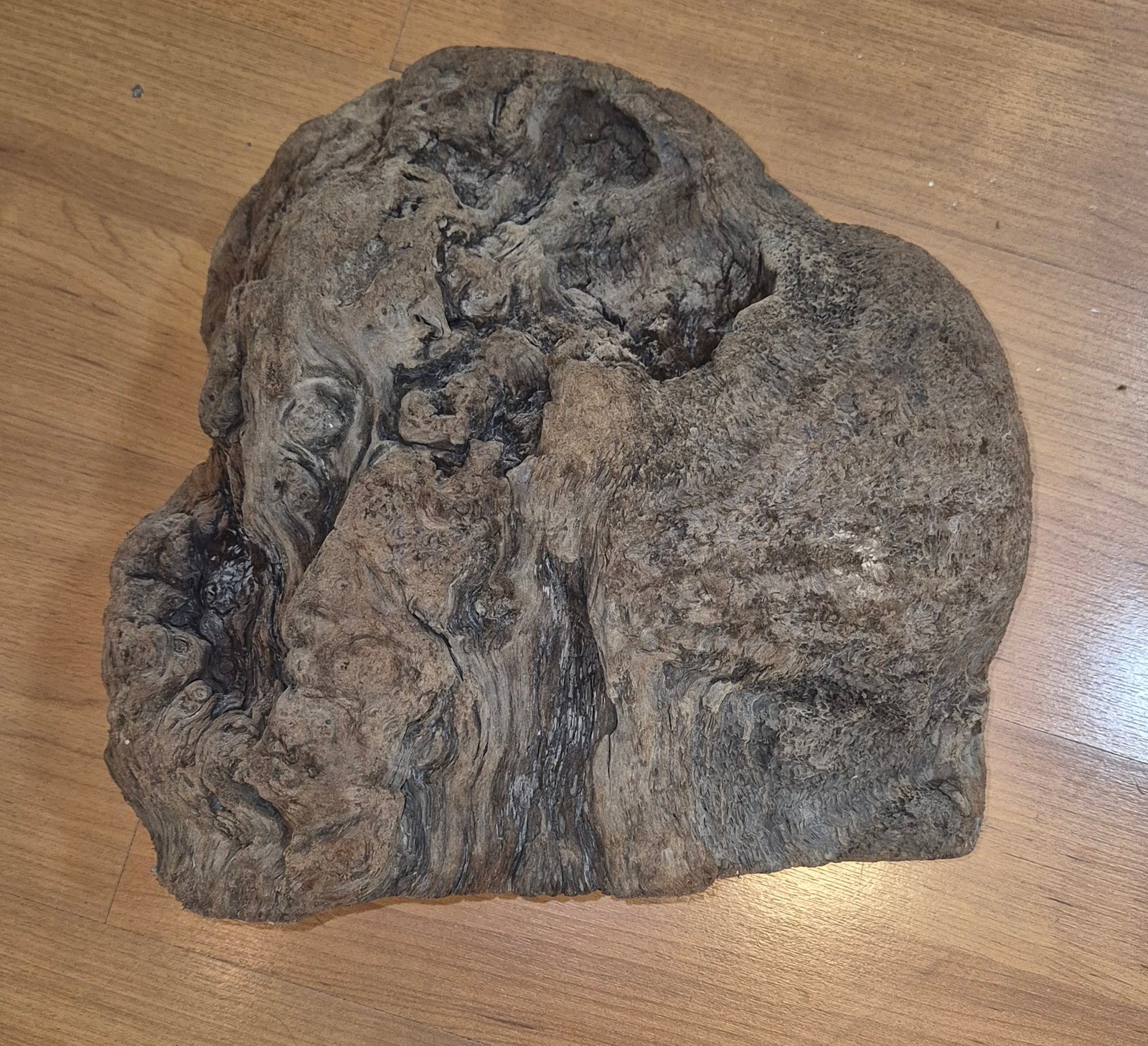 What the burl looks like before it isturned