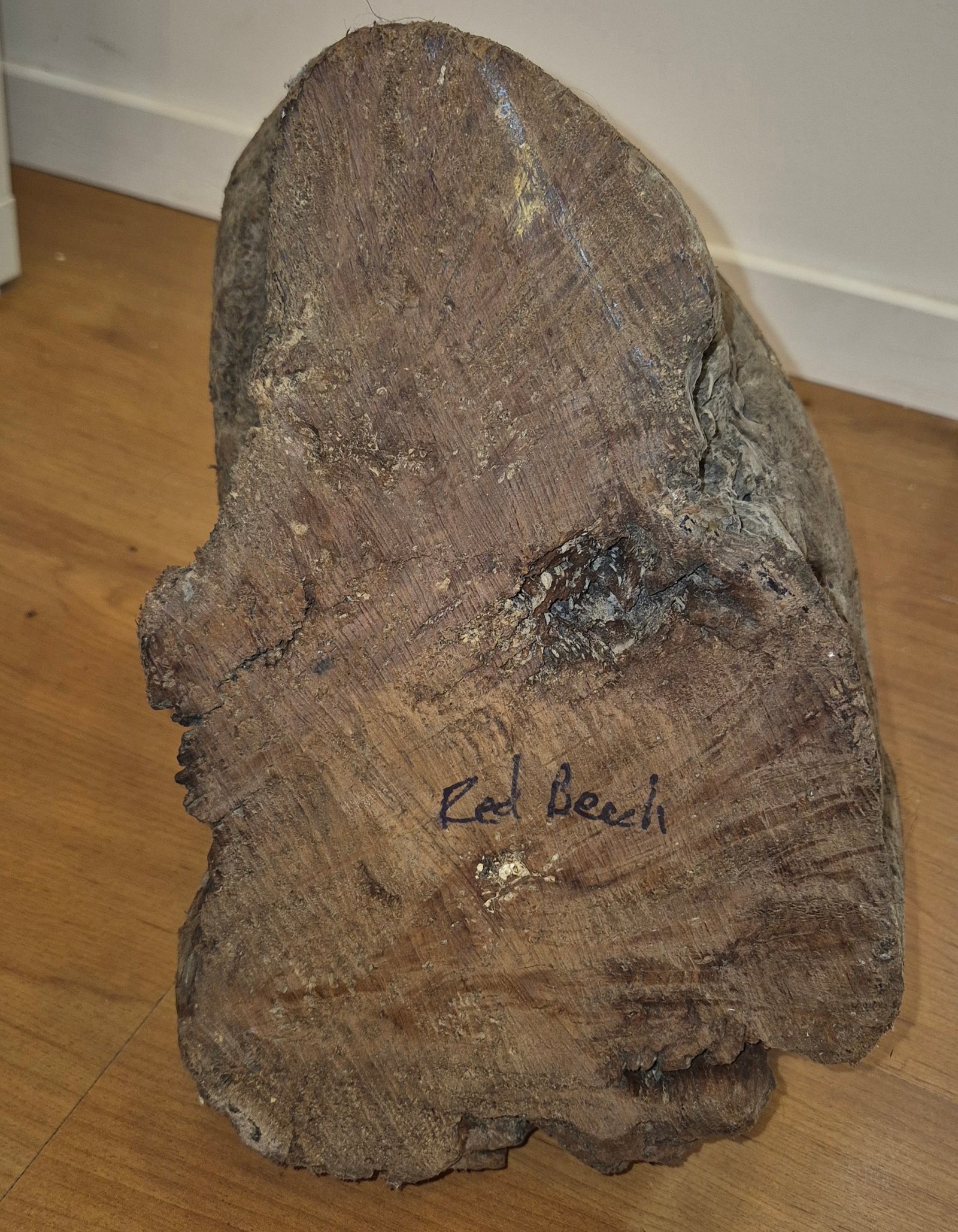 Rare bird's eye red beech burl