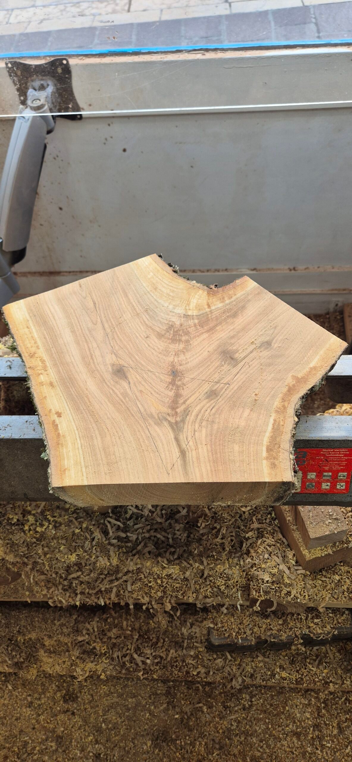 Freshly cut Cherry Tree fork
