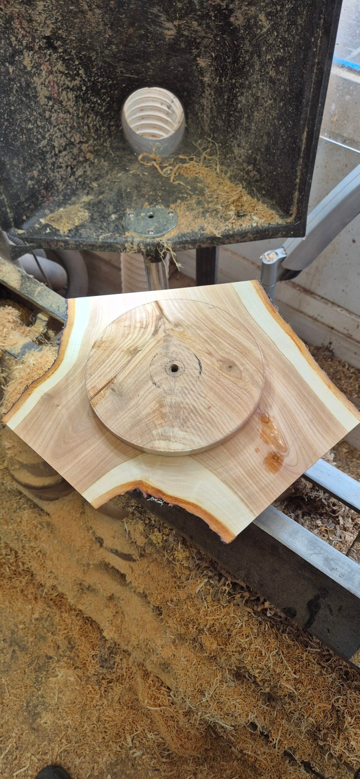 Wings – Hand-Turned Cherry Winged Bowl - Image 6