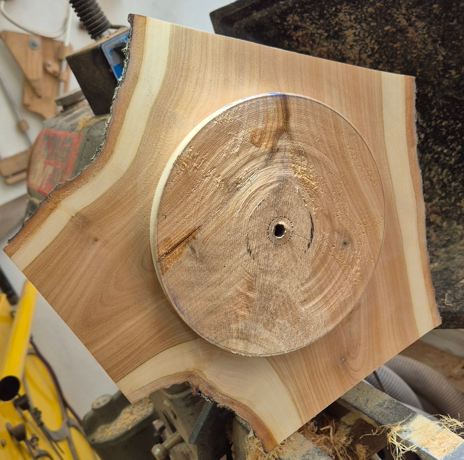 Wings – Hand-Turned Cherry Winged Bowl - Image 9